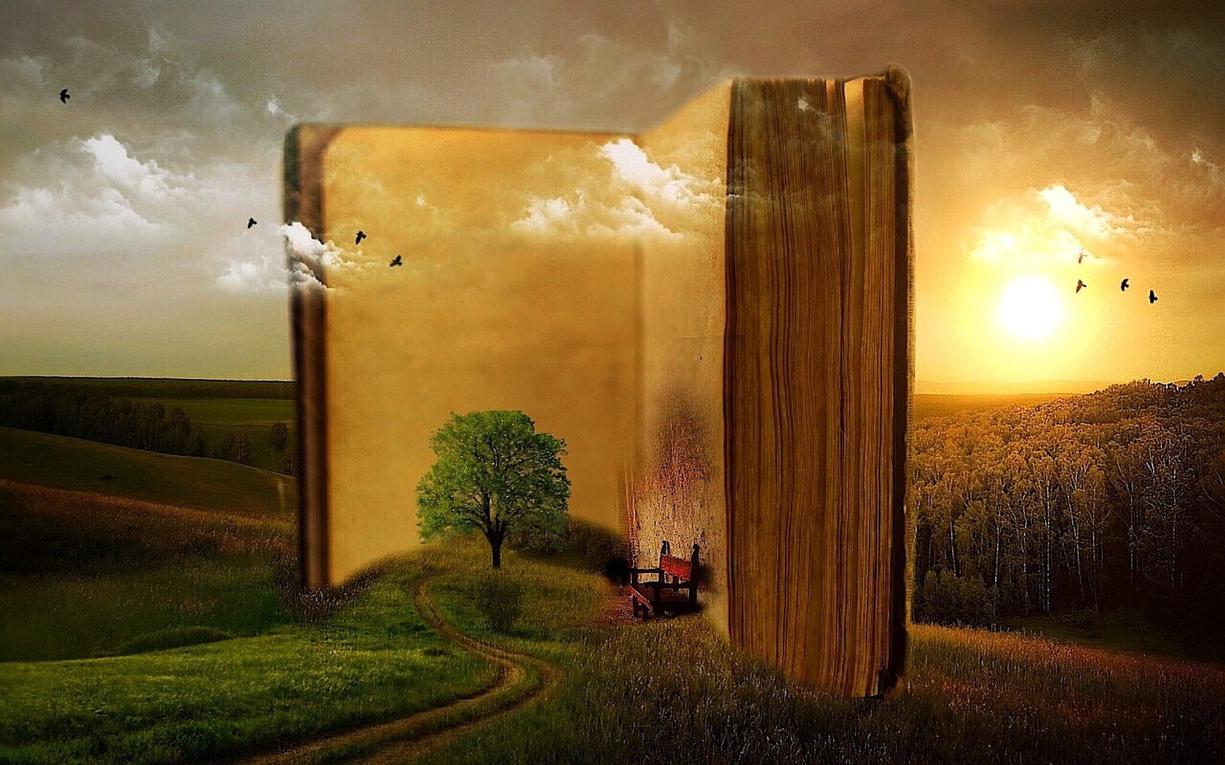 Banned Books